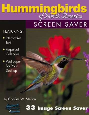 Hummingbirds of North America Screen Saver