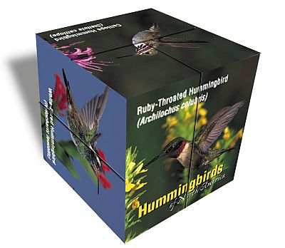 Photo Cube Hummingbirds of North America