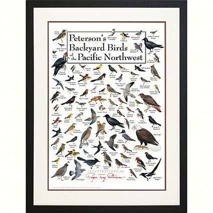 Peterson's Birds of the Pacific Northwest Poster