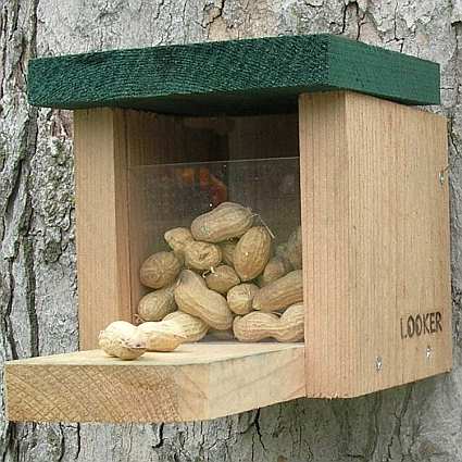 Squirrel Snack Box Feeder Twin Pack