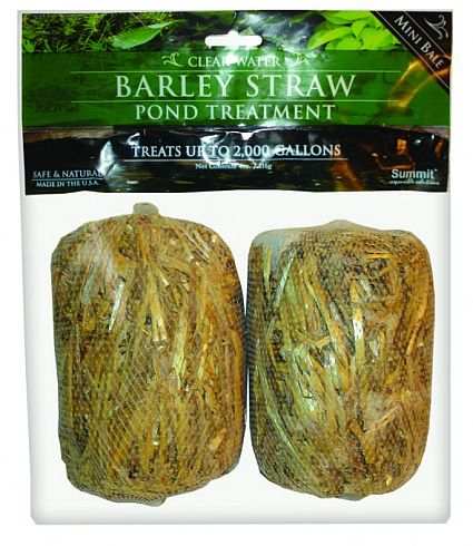 Clear Water Barley Straw Bales Super Mini 2/PAK