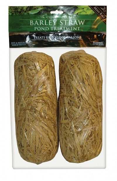 Clear Water Barley Straw Bales Mini 2/PAK