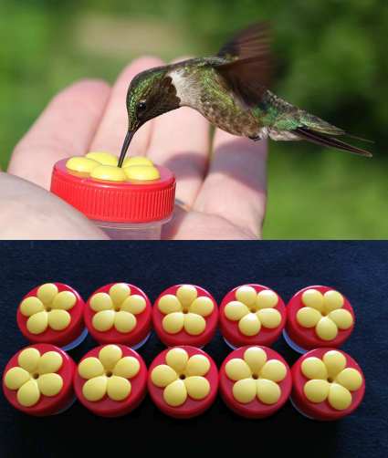 Nectar Dots Hummingbird Feeder Red 10/PAK