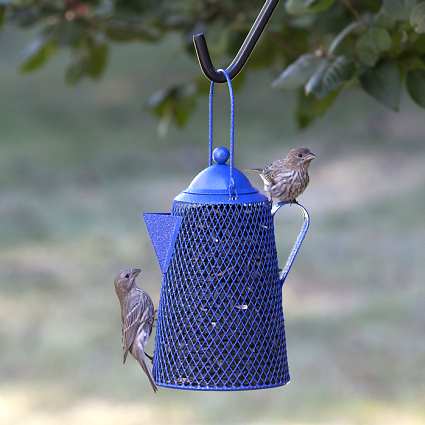 No No Coffee Pot Wire Mesh Bird Feeder Quality All Metal No No