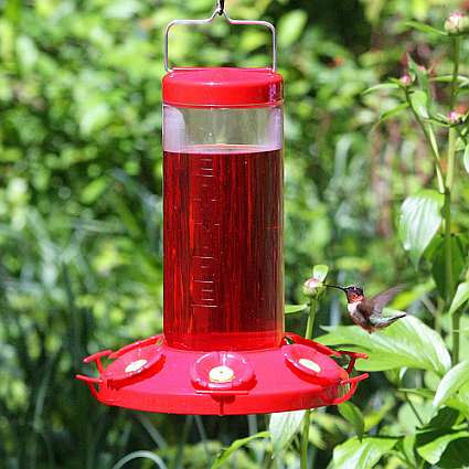 Grand Master Hummingbird Feeder 48 oz.