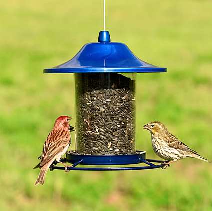 Panorama Blue Sparkle Bird Feeder Quality Crafted Bird Seed