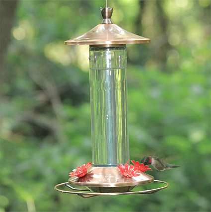 Colibri Hummingbird Feeder 12 oz.