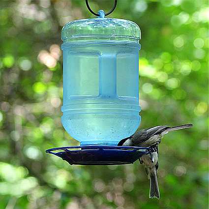 Water Cooler Bird Waterer Twin Pack