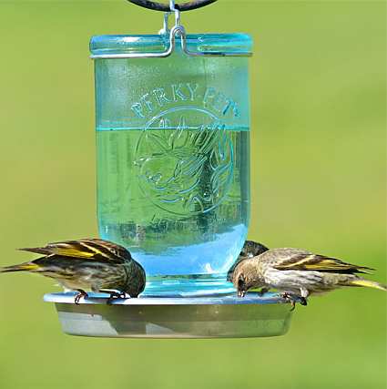 Mason Jar Antique Glass Wild Bird Waterer