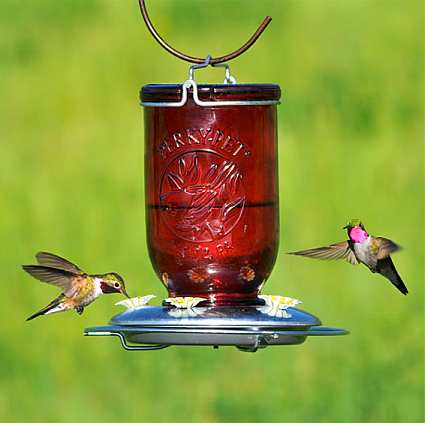 Mason Jar Antique Red Glass Hummingbird Feeder