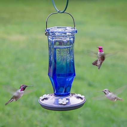 Sapphire Starburst Vintage Hummingbird Feeder