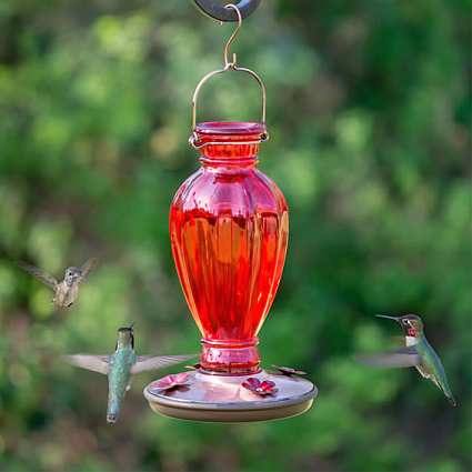 Daisy Vase Vintage Hummingbird Feeder