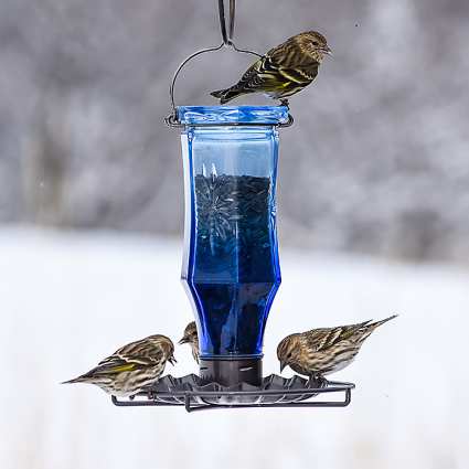 Sapphire Starburst Vintage Bird Feeder