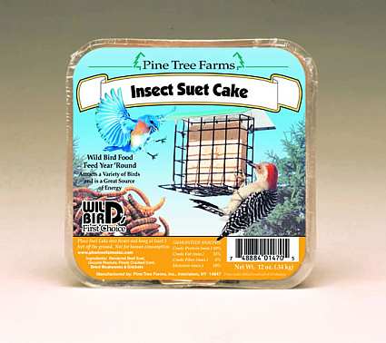 Insect Suet Cake 12 Pack