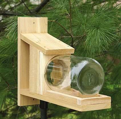Squngee Deluxe Squirrel Feeder Bungee Jumper Squirrel Feeders For