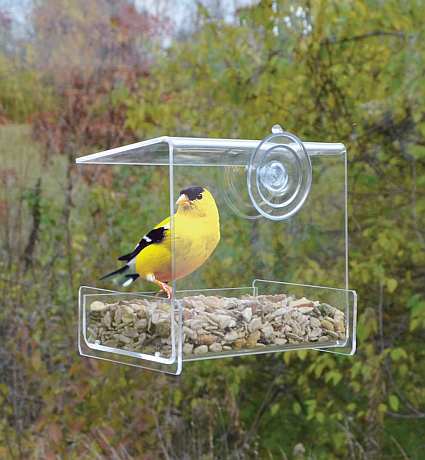 Songbird Clear View Open Diner Window Feeder Quality Handcrafted