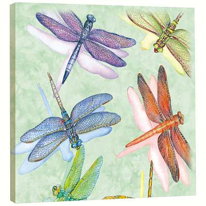 EcoArt Plaque Dragonflies