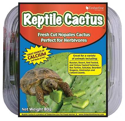 Reptile Cactus 80g Cup 3/Pack