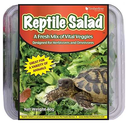 Reptile Salad 40g Cup 3/Pack