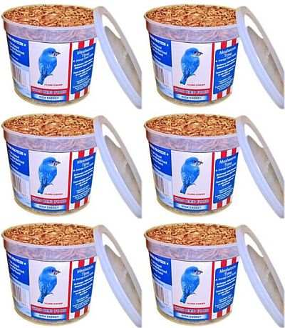 Songbird Dried Mealworm Value Tub 6/Pack