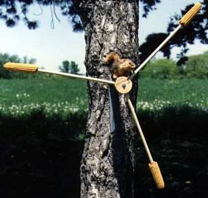 Squirrel-A-Whirl Triple Feeder
