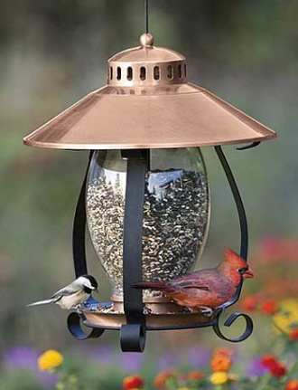 Audubon Brushed Copper Lantern Feeder Decorative And Functional