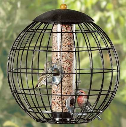 caged bird feeders that discourage squirrels at bird caged bird feeders that discourage squirrels at bird
