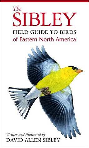 Birds of Massachusetts Field Guide, Massachusetts Bird Identification
