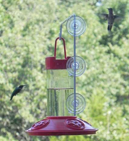 window mounted hummingbird feeders window hummingbird window mounted hummingbird feeders window hummingbird