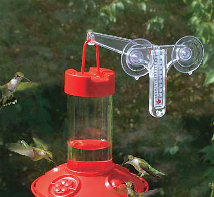 window mounted hummingbird feeders window hummingbird window mounted hummingbird feeders window hummingbird