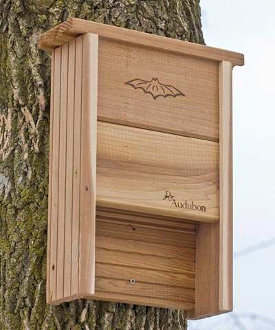 audubon cedar single chamber bat shelter quality cedar audubon cedar single chamber bat shelter quality cedar