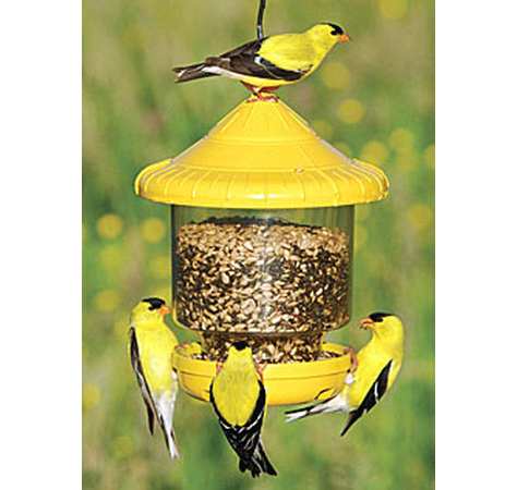 Birdquest Clingers Only Bird Feeder Red