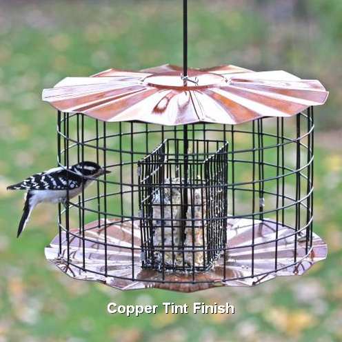 Caged Bird Feeders That Discourage Squirrels Quality Bird Feeders