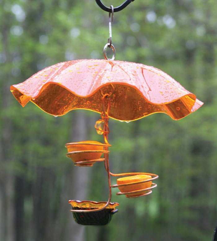 Oriole Feeders Oriole Bird Feeders For Feeding And Attracting
