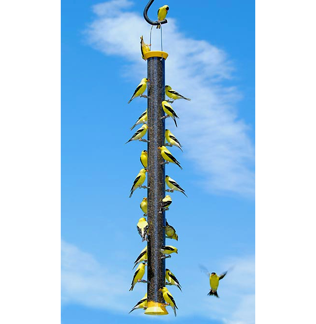 Finch Feeders Nyjer Bird Feeders Thistle Bird Feeders Quality