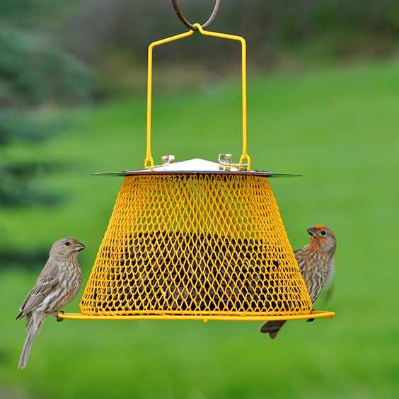 No No Bird Feeders All Metal Collapsible Wire Mesh Bird Feeders