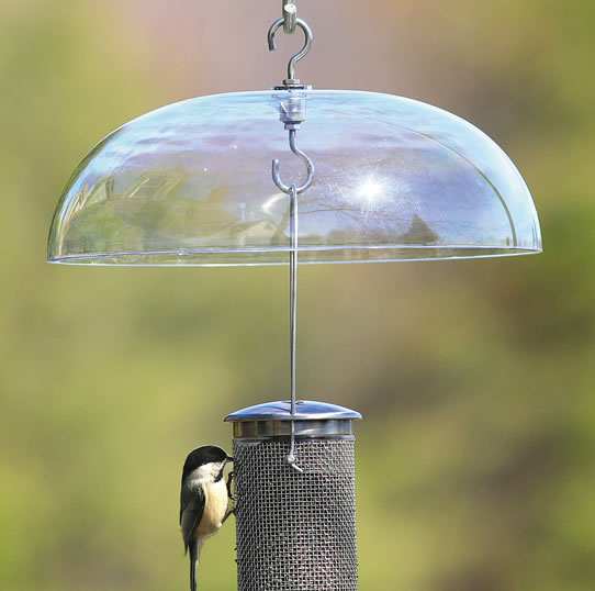 Aspects Bird Feeder Weather Dome Quality Weather Domes For Bird