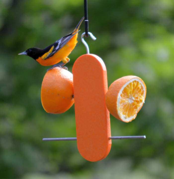 Home Garden Copper Heart Double Fruit Apple Orange Oriole Bird