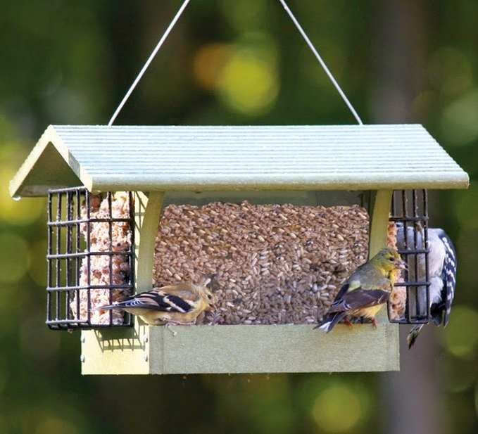 Hopper Bird Feeders Quality Crafted Hopper Bird Feeders For