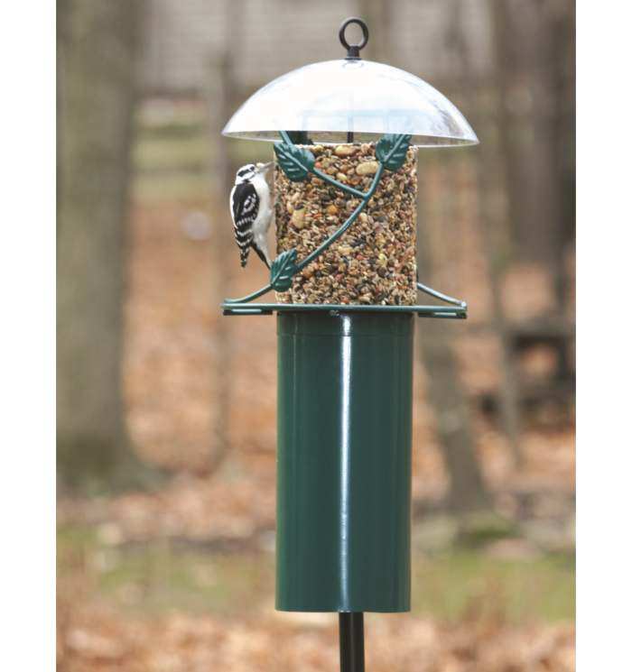 Suet Bird Feeders Seed Cake Bird Feeders For Attracting Clinging