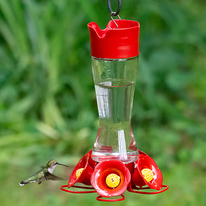 Bottle Hummingbird Feeders Bottle Style Hummingbird Feeders For