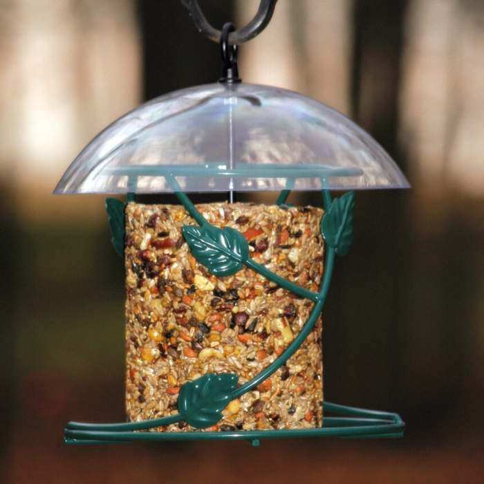Suet Bird Feeders Seed Cake Bird Feeders For Attracting Clinging
