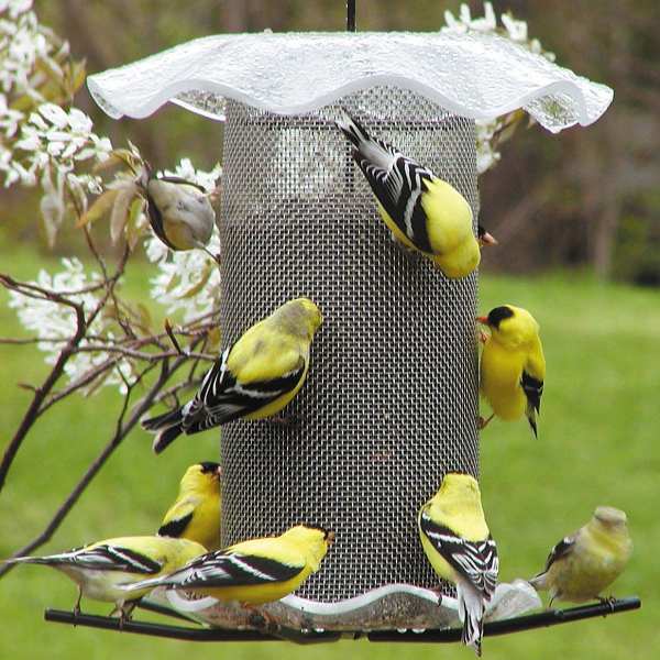 Wire Mesh Bird Feeders For Feeding Wild Birds Wire Steel Mesh