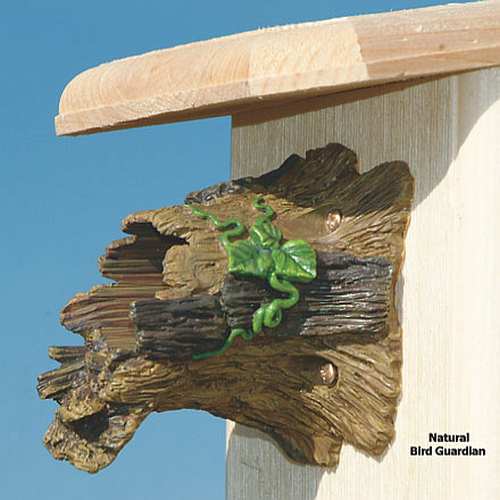 Bird House Poles And Accessories Bird House Posts Bird House