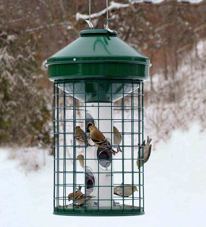 Caged Bird Feeders That Discourage Squirrels Quality Bird Feeders