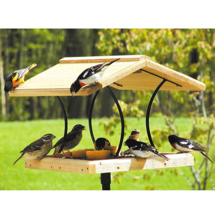 Ground Bird Feeders For Ground Feeding Birds Cardinals Doves