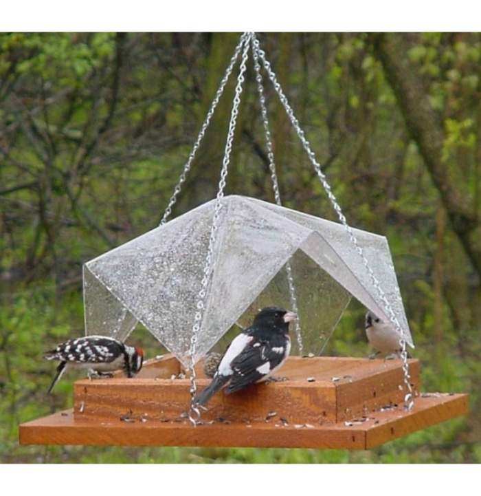 Platform Bird Feeders Tray Bird Feeders Ground Bird Feeders