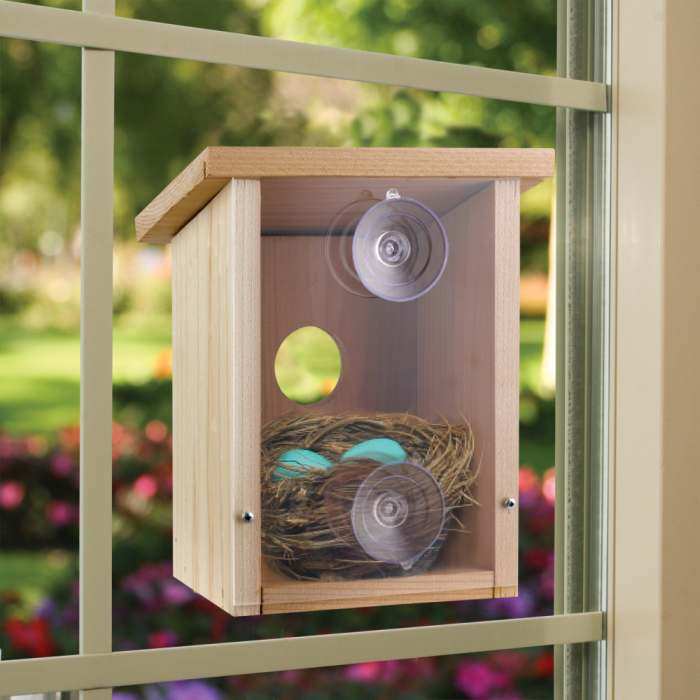 Clear Window Bird Feeder House See Through Nest Viewing Perspex Seed Glass 