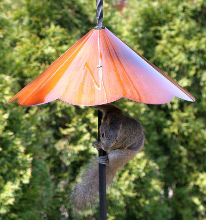 Squirrel Baffles For Discouraging Squirrels Around Bird Feeders