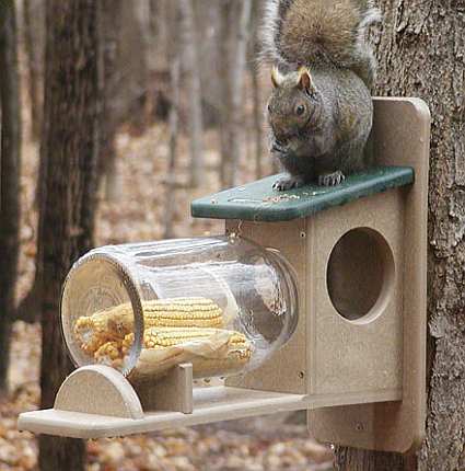 Squirrel Feeders Quality Squirrel Feeders For Feeding Backyard